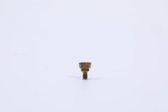 Good price Dental Cover Screw Grade 5 Medical Titanium Alloy With Precisely Engineered Threads online