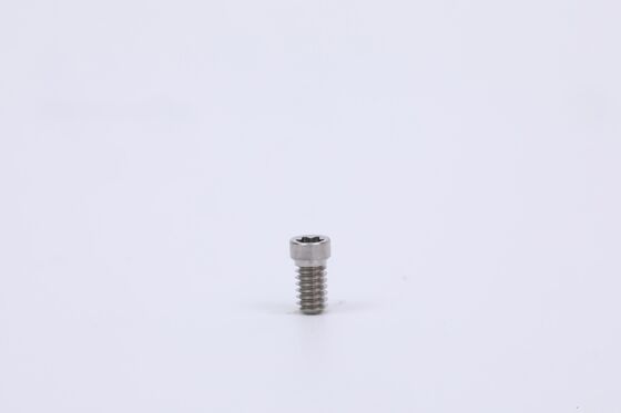 Buon prezzo Vite Dentale Metallico Argento Sabbiato e Inciso ad Acido Lunghezza 8mm-16mm Ingegnerizzato di Precisione per Applicazioni Dentali online